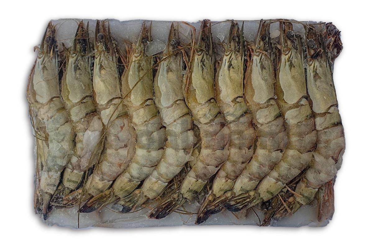 ❄ Gamba black tiger bodypeel 8-12 1kg