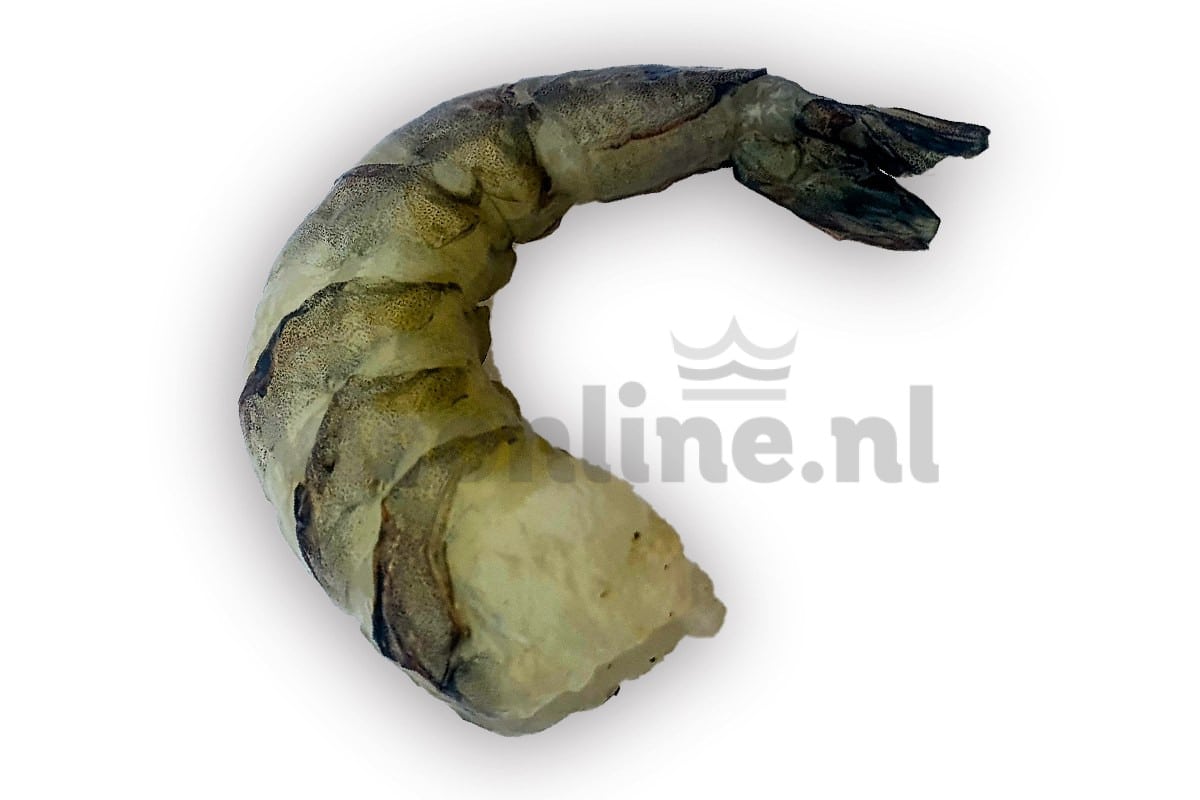 ❄ Gamba black tiger gepeld 16-20 1kg