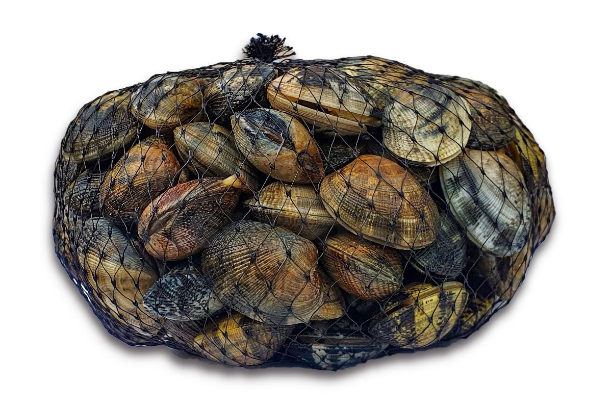 Vongole 1kg
