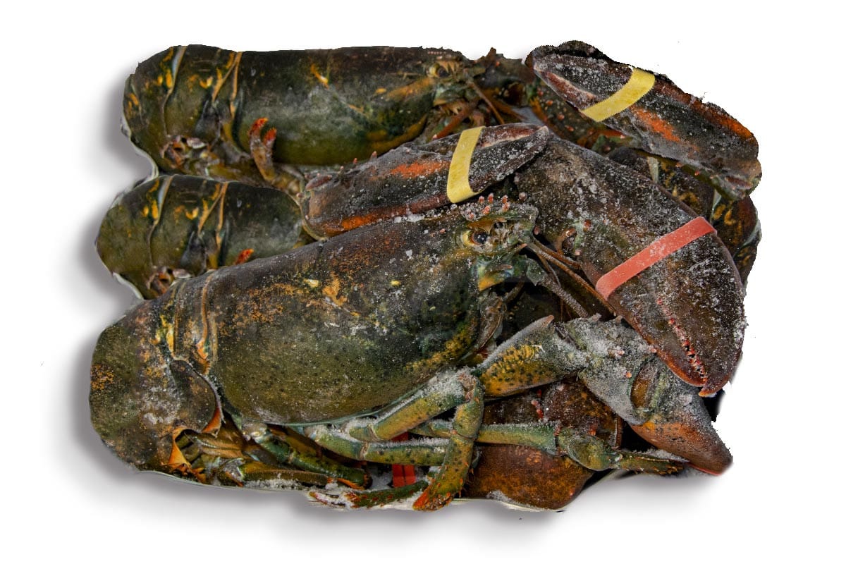 ❄ Kreeft voor soep ca. 1kg