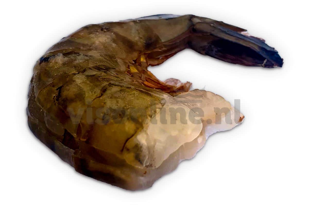❄ Gamba black tiger easy peel 16-20 1kg