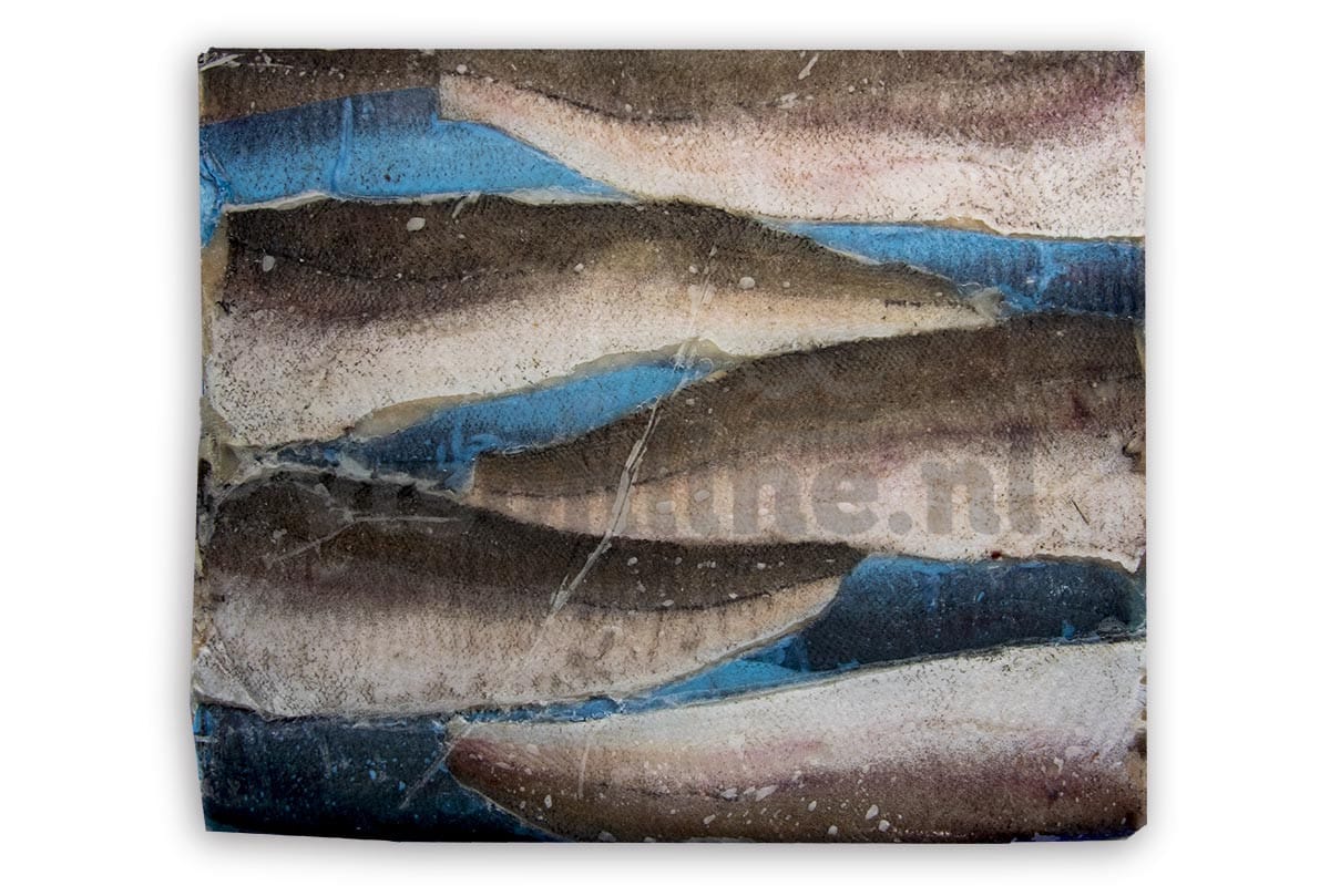 ❄ Heekfilet met vel (6-9) 170-250g 5kg